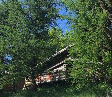 Allos Chalet De Esquí | Chalet Le Blij/Centre Station La Foux