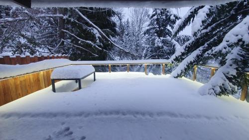 La Bresse Chalet De Esquí | CHALET LE DAHU "jacuzzi"