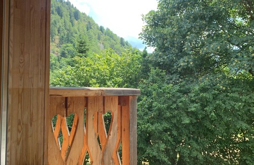 Ventron Chalet De Esquí | Chalet Le Grand Cerf, 4 ⭐️, space guaranteed! With Nordic bath ❄️