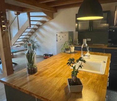 Venosc Chalet De Esquí | Chalet le Lotus Blanc