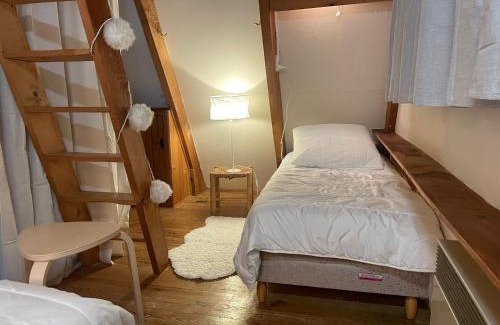 Besse-et-Saint-Anastaise Chalet De Esquí | Chalet montagnard avec balcon, proche piste et centre - FR-1-814-77