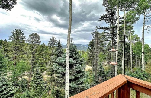 Angel Fire Chalet De Esquí | Chalet Nestled on 2 Mountainside acres! 4 Bedrooms/3 baths & Pet Friendly!