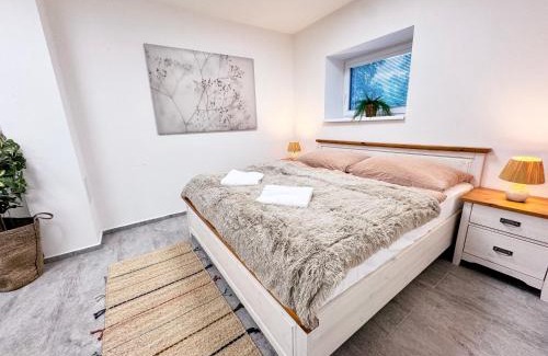 Predni Vyton Apartamento | Chalet Pasečná
