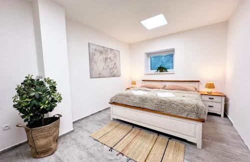 Predni Vyton Apartamento | Chalet Pasečná