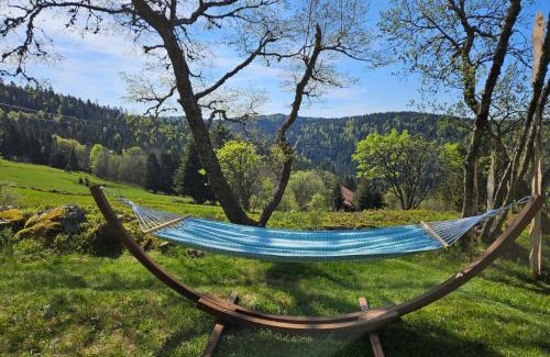 Gerardmer Cama Y Desayuno | Chalet Perle des Hauts