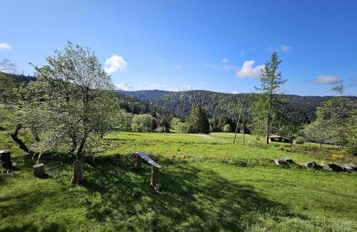 Gerardmer Cama Y Desayuno | Chalet Perle des Hauts