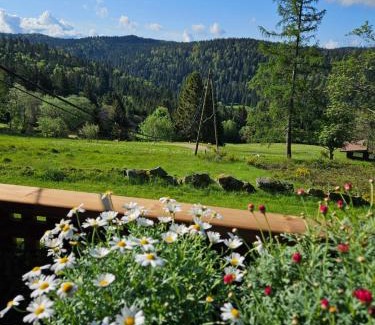 Gerardmer Cama Y Desayuno | Chalet Perle des Hauts