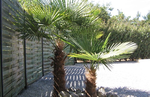 Soulac-sur-Mer Chalet De Esquí | Chalet sleeps 6, not overlooked - Private pool and 4-person rigid spa