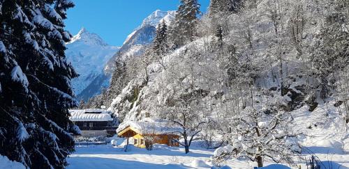 Lofer Chalet De Esquí | Chalet Sonnheim