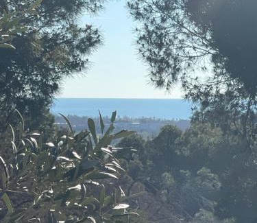 Agde Chalet De Esquí | Chalet T3 4/6 personnes à Agde