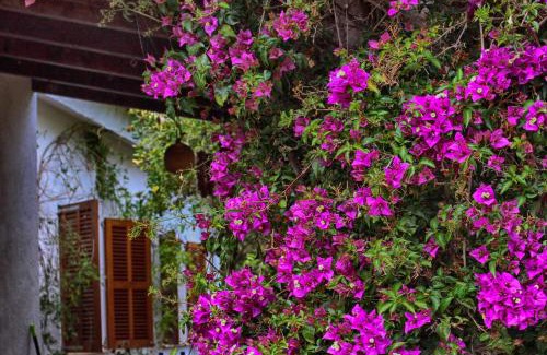 Son Servera Casa | Chalet Tres Mares, Cala Millor