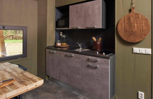 Beekbergen-Zuid Casa | Chalet with 3 bedrooms and a terrace