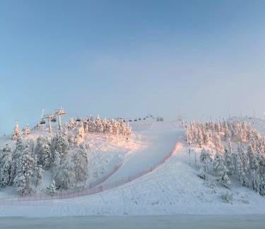 Rukatunturi Apartamento | Chalets LumiHelmi Ruka