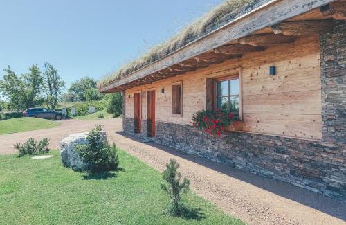 Cinovec Apartamento | Chalets Resort