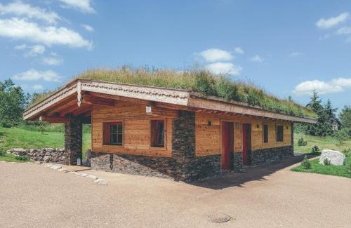 Cinovec Apartamento | Chalets Resort