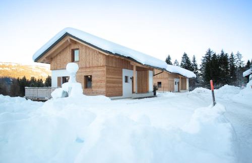 Schlanitzen Apartamento | Chalets und Apartments Hauserhof Nassfeld