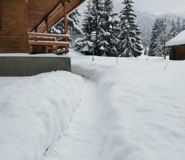 Poiana Brasov Cabina | Challet Montan