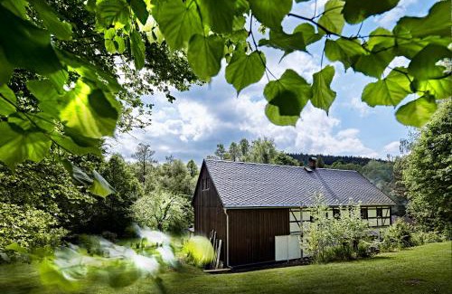 Dolni Poustevna Casa | Chalupa Poustevna