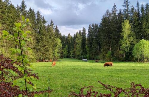 Frymburk Casa | Chalupa U Lesa Frymburk Lipno