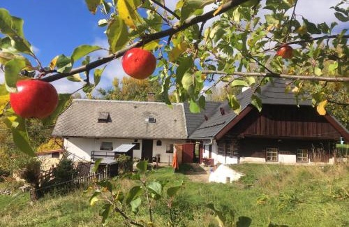 Stachy Chalet De Esquí | Chalupa U Vincků