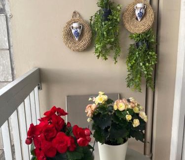 Flandres Casa | Chambre chez l'habitant avec Salle de bain à partager - homestay