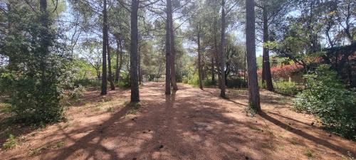 Eguilles Cama Y Desayuno | Chambre d'hôte BB proche d'Aix en Provence