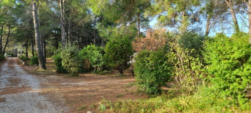 Eguilles Cama Y Desayuno | Chambre d'hôte BB proche d'Aix en Provence