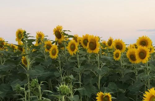 Durtal Cama Y Desayuno | Chambres Au Calme, À La Campagne