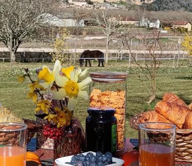 Castelnaud-la-Chapelle Cama Y Desayuno | Chambres d'hôtes BELLE-VUE -Vue sur château