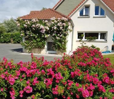 Berck-sur-Mer Cama Y Desayuno | Chambres d'Hôtes La Villa des Hortensias