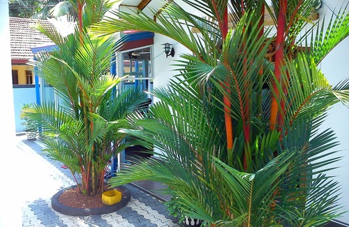 Hettimulla Apartamento | Chamo Villa cerca de la playa de Moragalla Beruwala