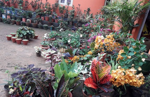 Virarajendrapet Casa | Chandragiri -romantic and traditional home for holiday vacation