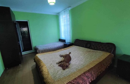 Guria Casa | Chantu