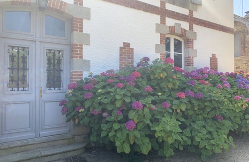Vannes Villa | Character and spaces, large heated swimming pool... Jacuzzi... a little paradise.