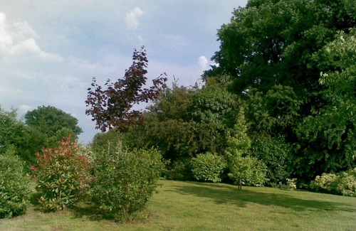 Brunelles Casa | Character artist's house 3 * between PNR du Perche and Normandy,