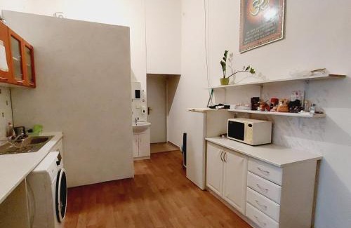 Stare Mesto Apartamento | Charles bridge, Old town3 Min walk Private Room H