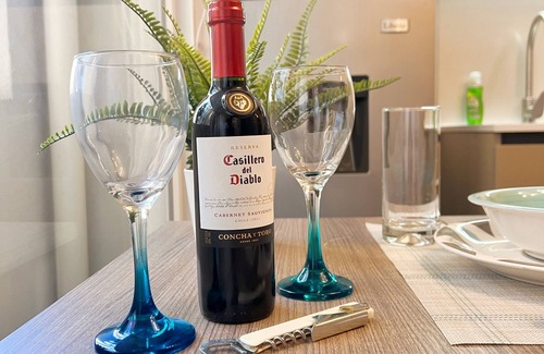 Downtown Santiago Apartamento | Charm, comfort, and culture in downtown Santiago