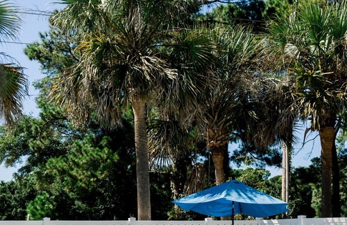 Calabash Casa | Charm of Calabash -- Short Drive to the Beach Two Bedroom- Condo