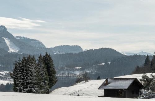Araches-la-Frasse Apartamento | Charmant 2 pièces cabine, 4 pers, terrasse sud, proche village et pistes, parking privé - FR-1-572-293