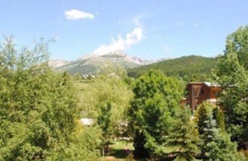 Villard-de-Lans Apartamento | Charmant 2 pièces, dernier étage, calme, navette ski, ludiparc, non-fumeur, animaux OK - FR-1-515-113