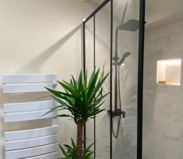 Fontenay-le-Comte Apartamento | Charmant appartement avec SPA