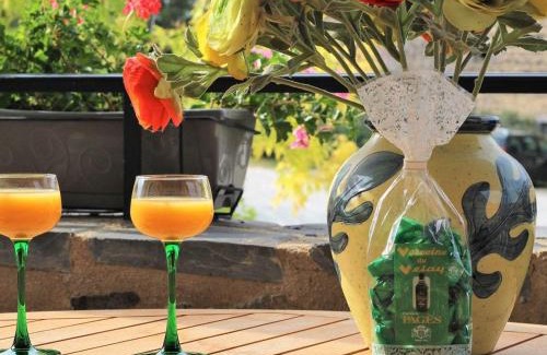 Lavaudieu Casa | Charmant Gîte à Lavaudieu avec Terrasse, Proche Sites Touristiques et Commerces - FR-1-582-219