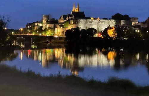 Savennieres Casa | Charmant gîte viticole près de la Loire à vélo, à 10 min d'Angers, parfait pour un séjour à deux - FR-1-622-18