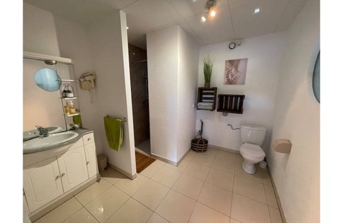 Jebsheim Condominio | Charmant Logement Avec Piscine et Jacuzzi
