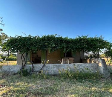 Montfort-sur-Argens Casa | Charmant Provençal Cabanon à Montfort-sur-Argens