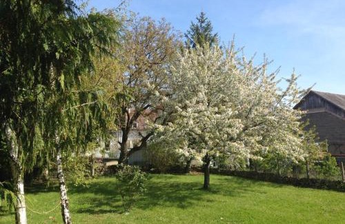 Pouligny-Saint-Pierre Casa | Charmante maison dans le Parc de la Brenne, idéale pour familles avec jardin, proche zoo et activités nature - FR-1-591-83