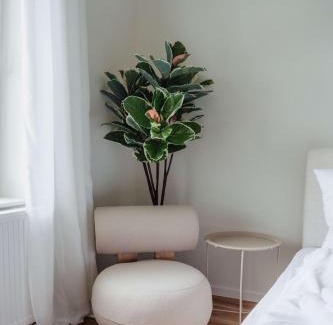 Celle Casa | Charmantes Apartment in perfekter Lage mit kostenlosem Parken