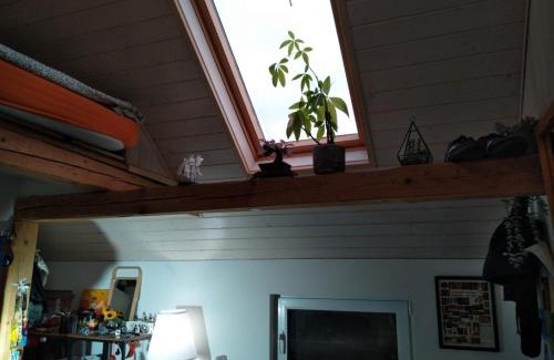 Nenzlingen Casa | Charmantes Western-Zimmer mit Veranda auf dem Raihof