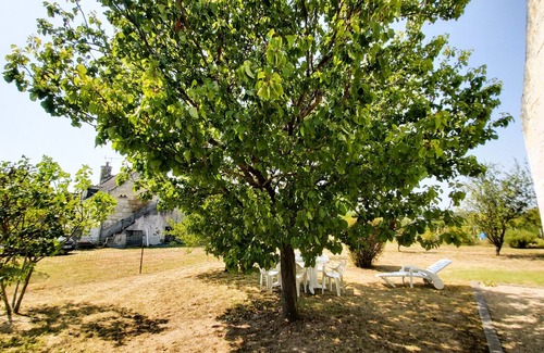 Saint-Patrice Casa | Charme en Touraine 7p #châteaux #nature #vignobles