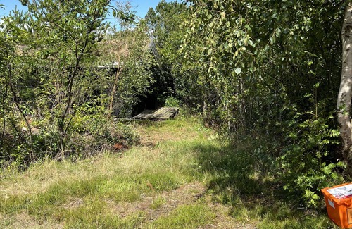 Lodbjerg Hede Cabina | Charmerende Skovhytte